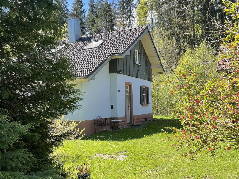Alpenblick Urlaub mit Kind Titisee Hundeurlaub Bodensee