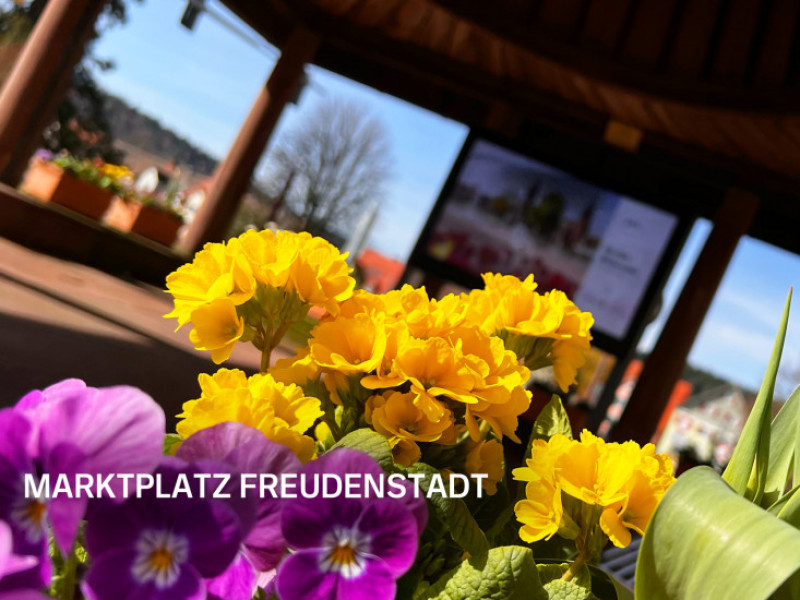 Gartenschau.jpg