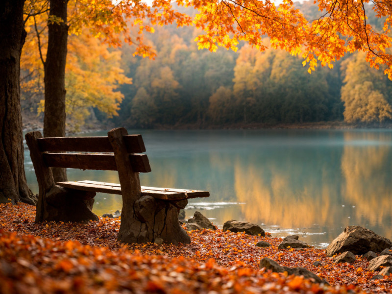 Herbst.jpg