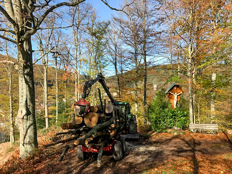 Waldbauernhof Obergießhof