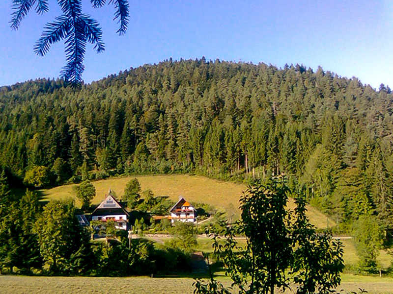 Waldbauernhof Obergießhof