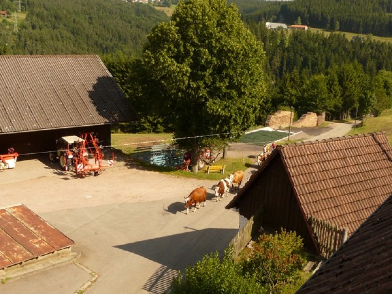Ferienwohnung Käppelehof