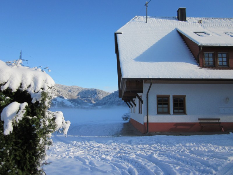 HOF HINTER DER MÜHLE