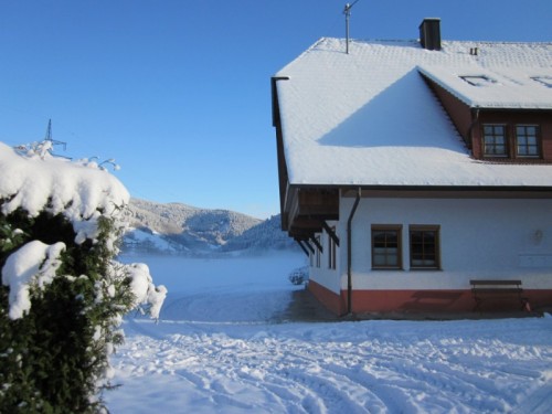 winter.jpg