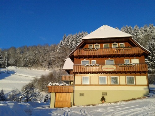 landhaus-waldeshoehe-winter.jpg