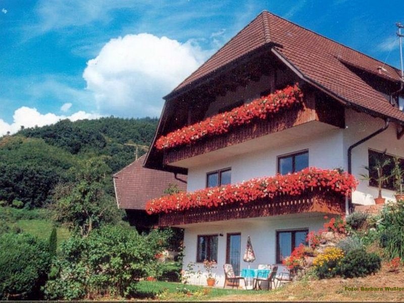 Haus Wußler Ferienwohnungen