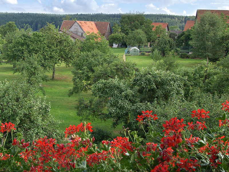 Garten.jpg