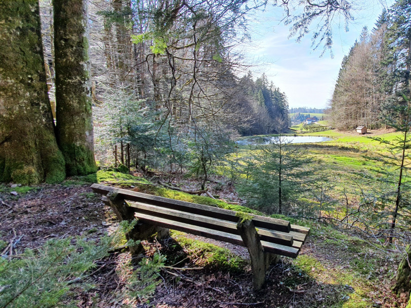Landhaus-Apartment Feldbergblick