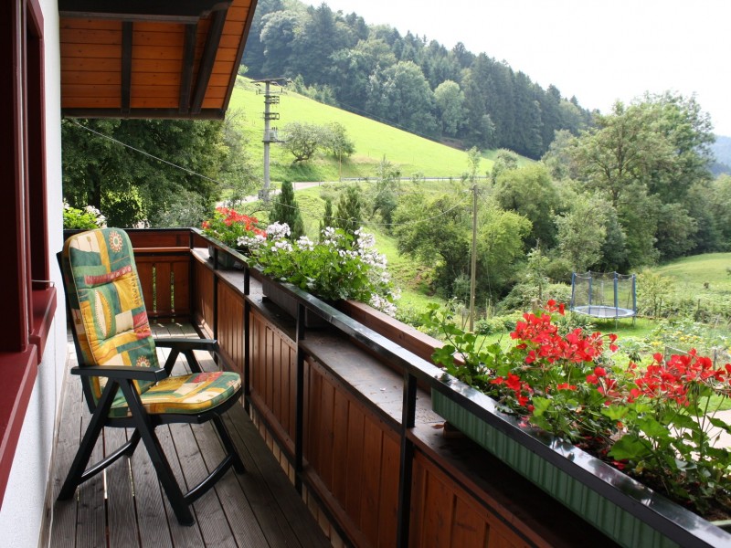 Ferienwohnung im Kohlenbach einem Seitental von Waldkirch, Nähe Freiburg