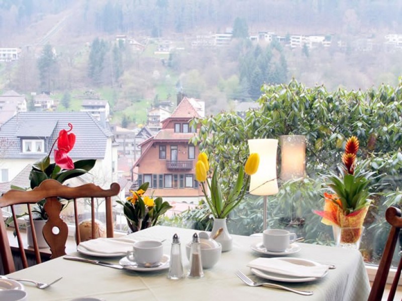 Apart Hotel Schwarzwald Panorama