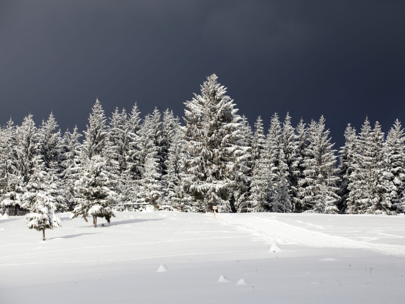 winter-wonderland-neu.jpg