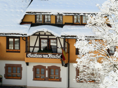 hirschen-winter.jpg