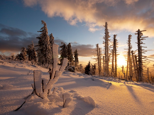 Natur und Sport Hotel Zuflucht