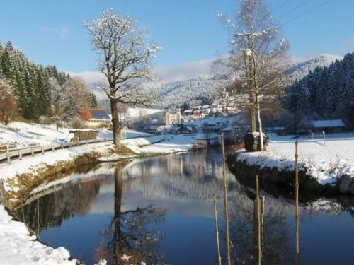 Ferienhaus-Hansenhof