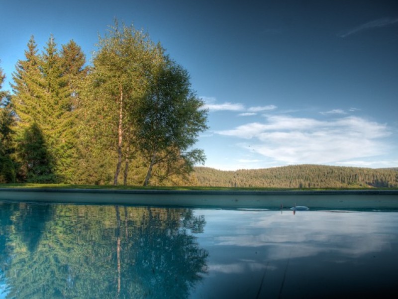 Ferienvilla am Feldberg