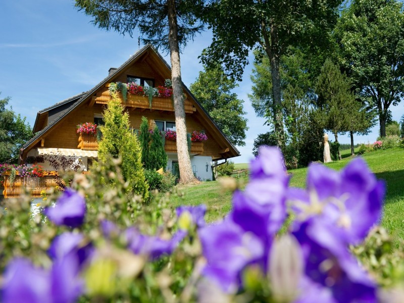 Haus Ketterer Waldau In The Black Forest Apartments Welcome