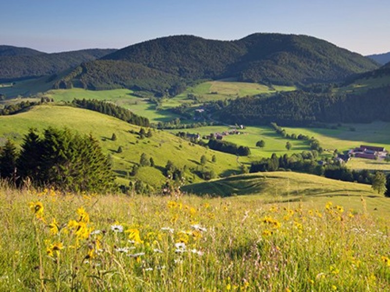 Das Rössle Bernau
