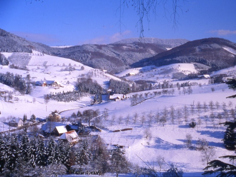 Ferien auf dem Vorderer Klausmannshof