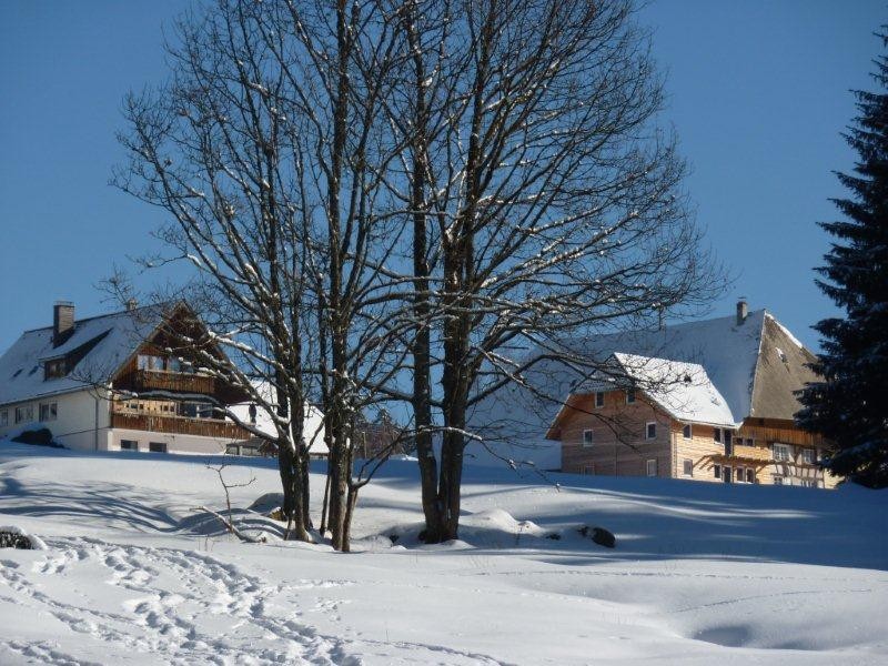 Farnbauernhof