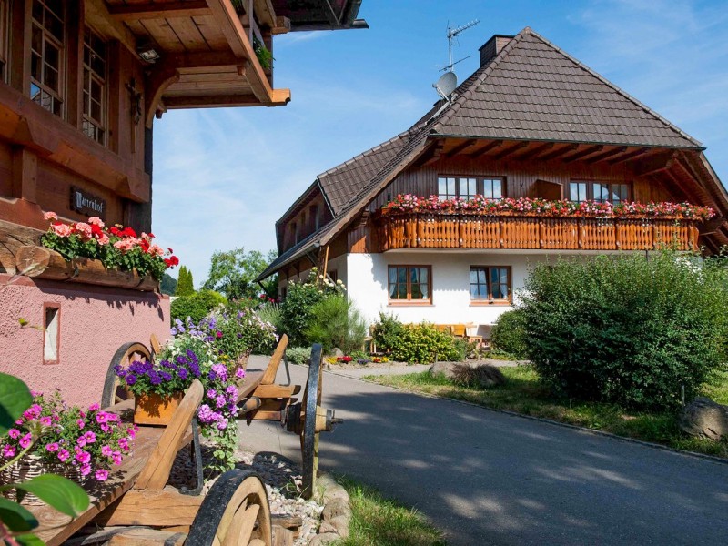 Mattenhof