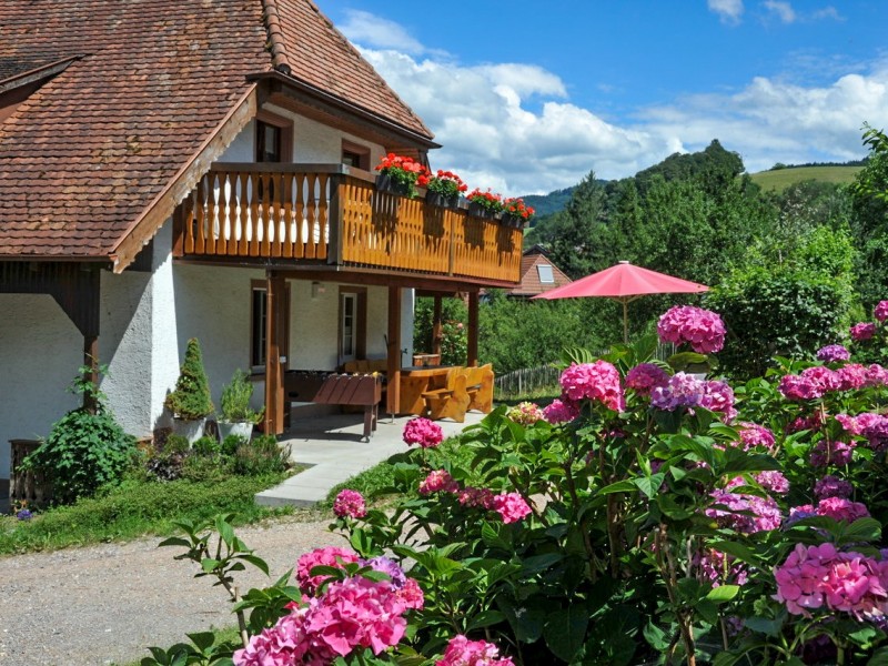 Mattenhof