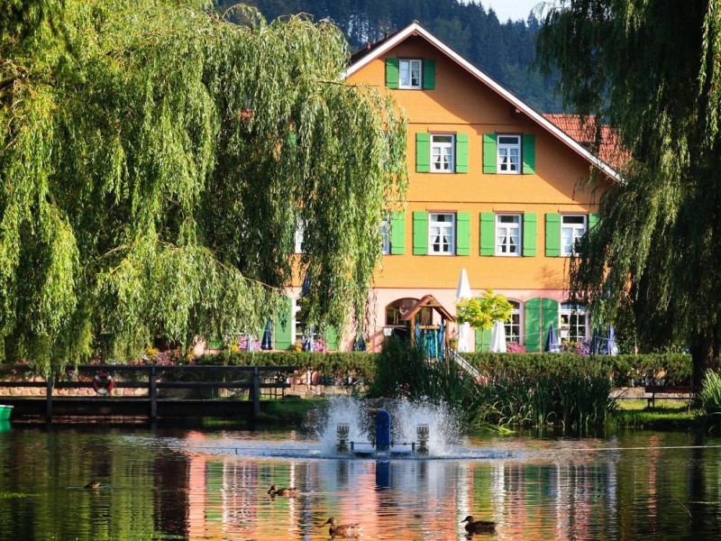 Hotel und Restaurant Zur alten Mühle