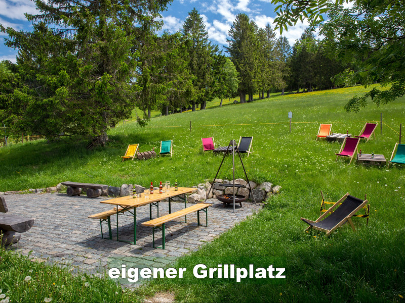 Ferienwohnung im Schwarzwald-Chalet Scheuermatthof Todtnauberg