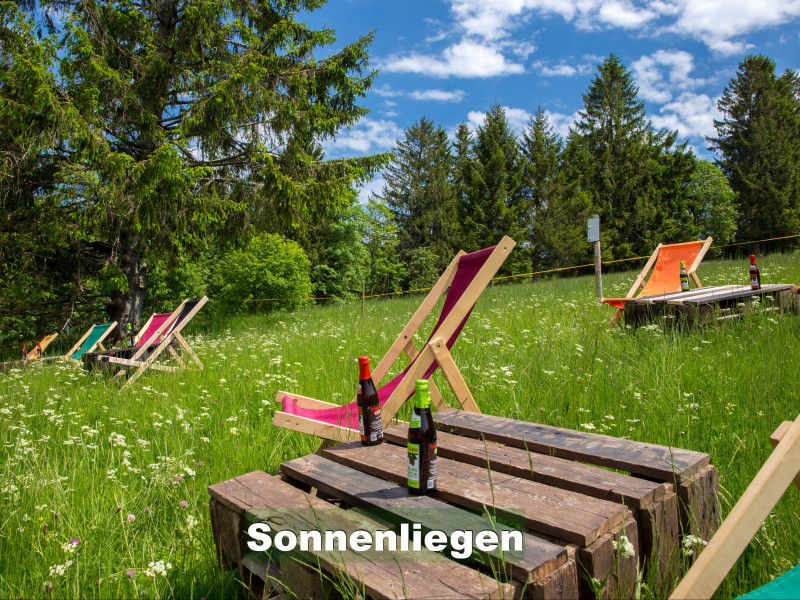 Ferienwohnung im Schwarzwald-Chalet Scheuermatthof Todtnauberg