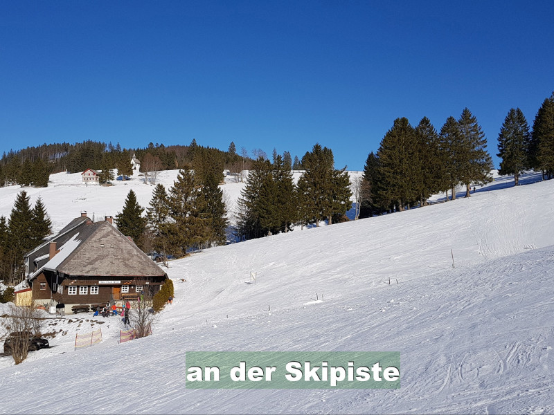 Ferienwohnung im Schwarzwald-Chalet Scheuermatthof Todtnauberg