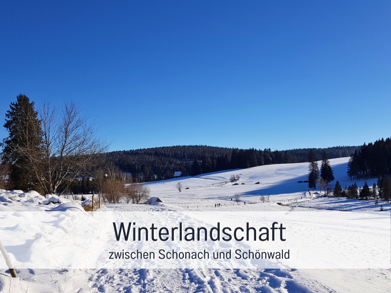 Ferienwohnung Sonnenseite Schonach