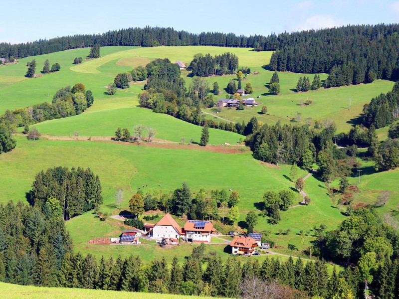 Dischenhof Ferienwohnung auf dem Bauernhof