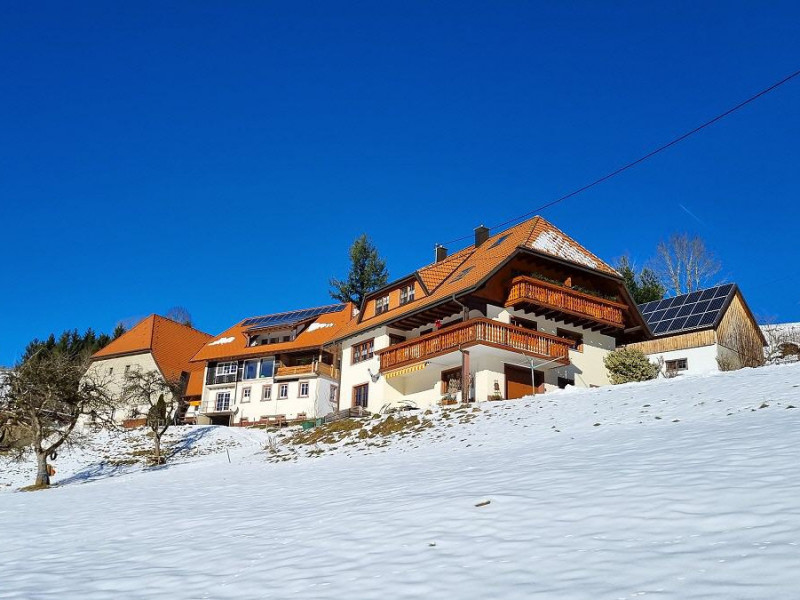 Dischenhof Ferienwohnung auf dem Bauernhof
