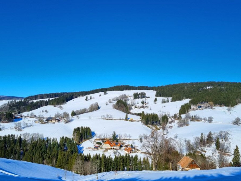 Dischenhof Ferienwohnung auf dem Bauernhof
