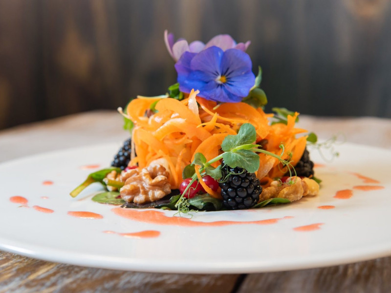 elzlandhotelpfauen-basischer-Apfel-Karottensalat-web1.jpg