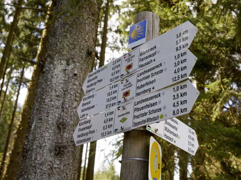 ElzLand Hotel Pfauen