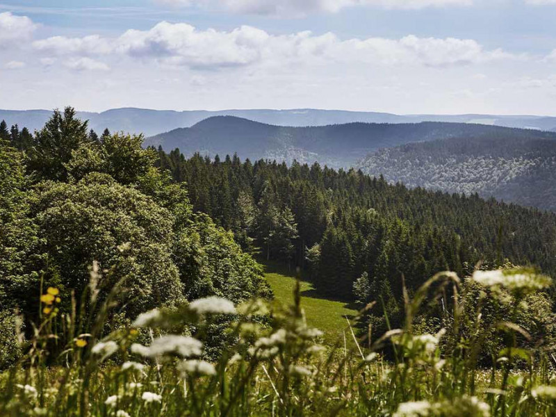 elzland-hotel-neunlinden-wandern.jpg