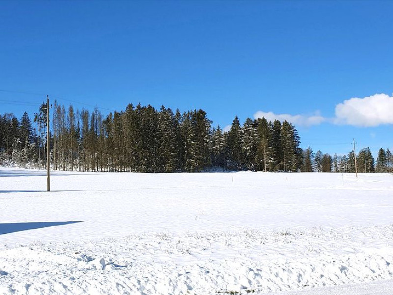 Schwarzwaldhof zur Seidenweberei