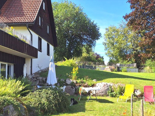 garten-liegestuehle-vorm-pool-seidenweberei.jpg