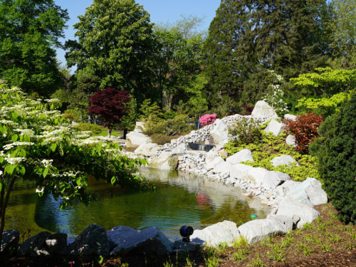 Führung durch den Japanischen Garten